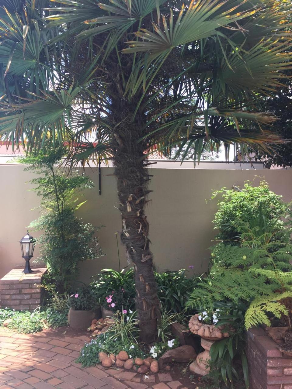 125 On Van Buuren Road Guest House Johannesburg Exterior foto